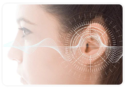 Cochlea illustration highlighting where Tinnoril reinforces blood flow and nerve health